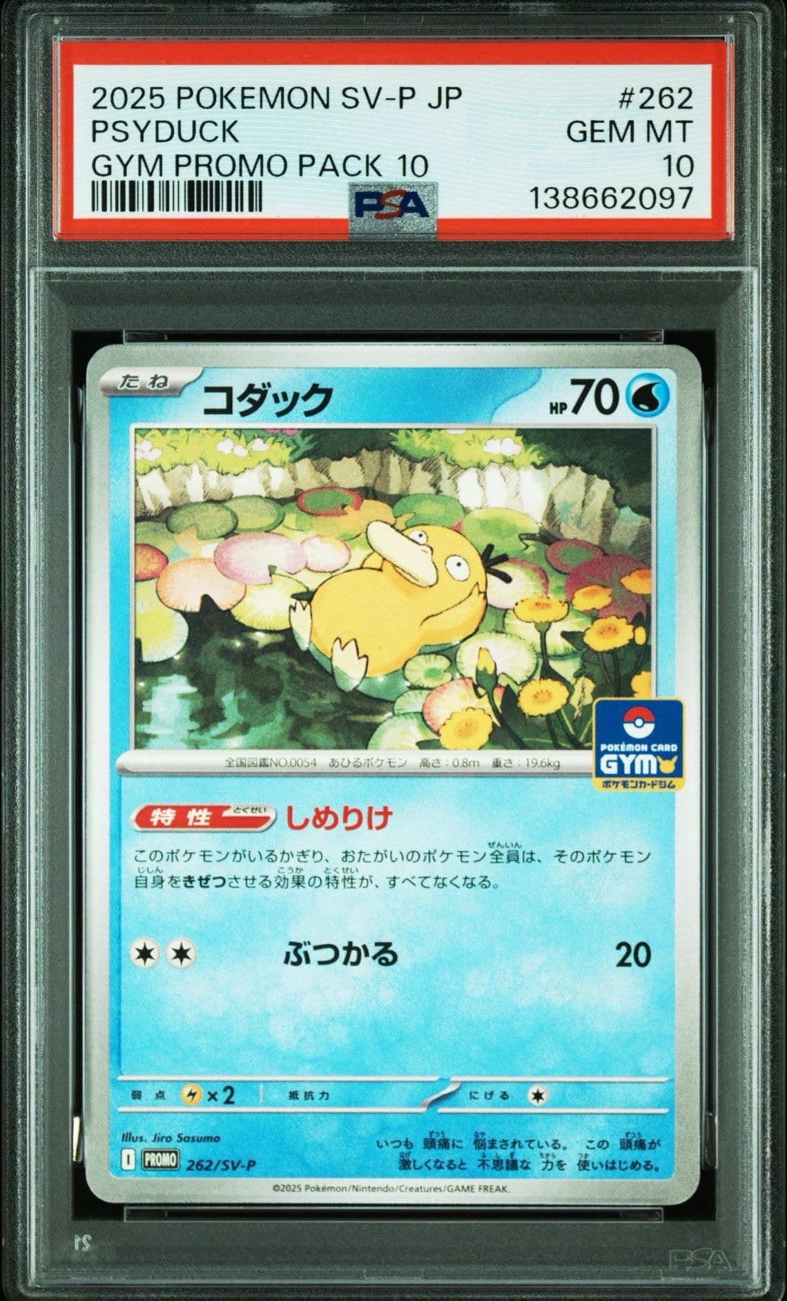 コダック P [SV-P 262](プロモカードパック「第10弾」)