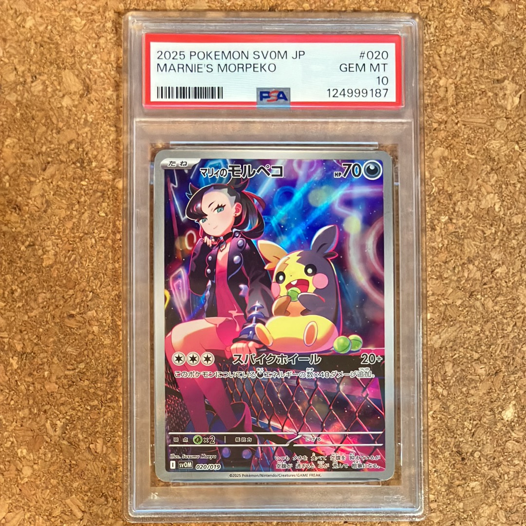 マリィのモルペコ [SVOM 020/019](スターターセットex「マリィのモルペコ＆オーロンゲex」)