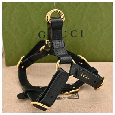グッチ その他アクセサリー レディース