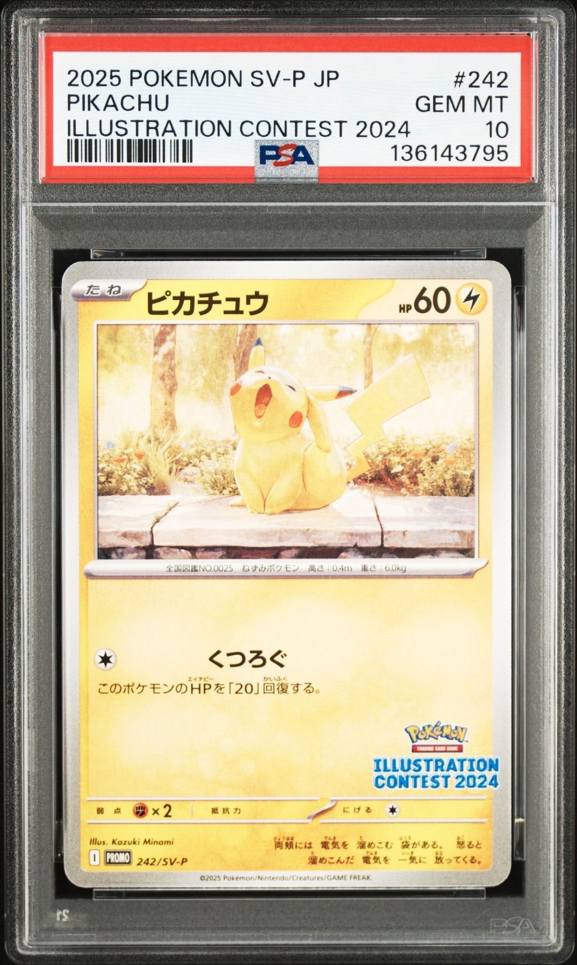 マリオピカチュウ: プロモ[XY-P 293/XY-P](プロモーションカード「XY-P