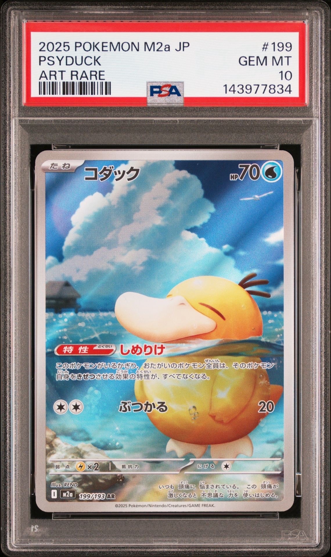 コダック AR [M2a 199/193](ハイクラスパック「MEGAドリームex」)