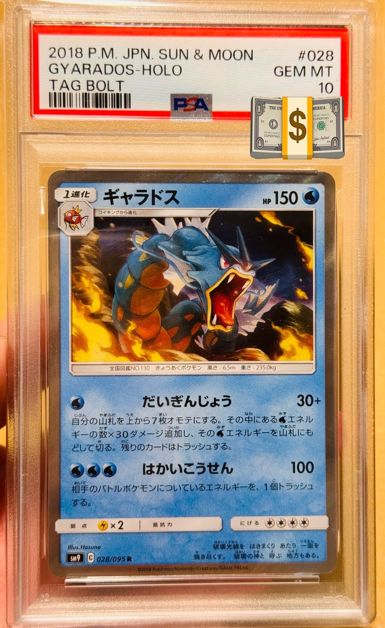 PSA10】ギャラドス R [SM9 028/095](拡張パック「タッグボルト」) 1枚