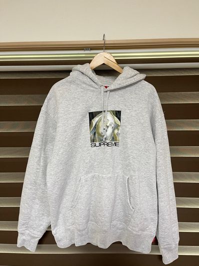 Supreme Ecstasy Hooded Sweatshirt "Ash Grey"