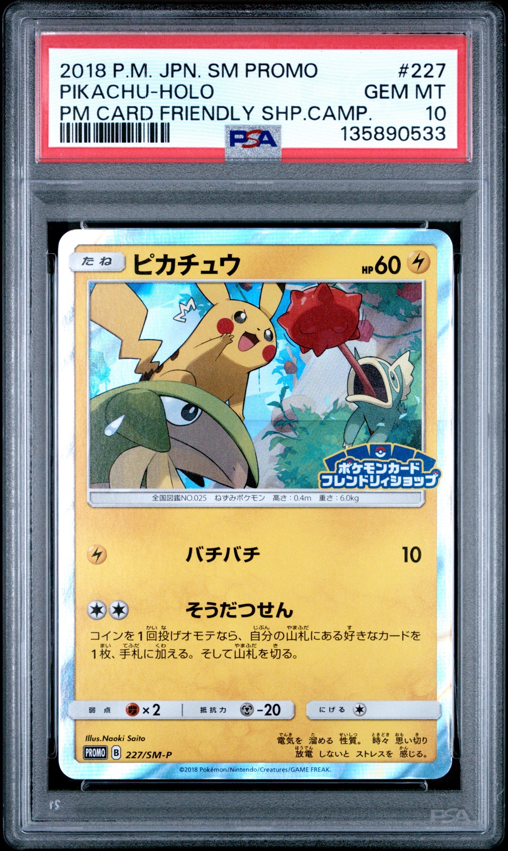 ピカチュウ P [SM-P 227](プロモーションカード「ポケモンカードフレンドリィショップ限定キャンペーン」)