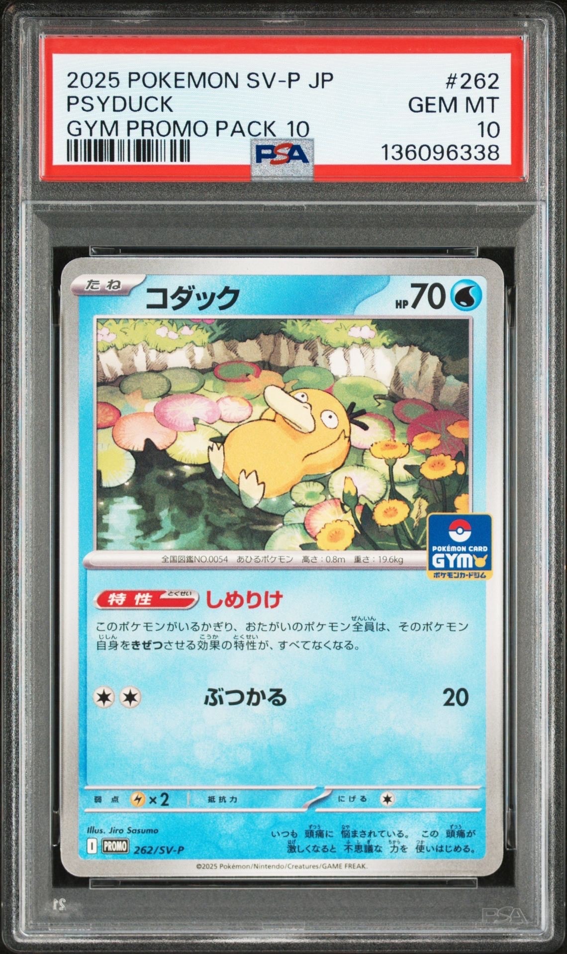 コダック P [SV-P 262](プロモカードパック「第10弾」)
