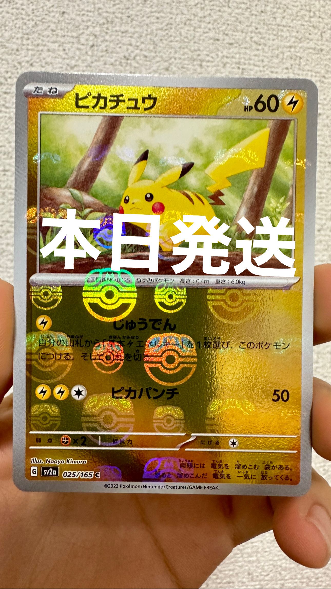 ピカチュウ C: マスターボールミラー (マスボピカチュウ) [SV2a 025/165](強化拡張パック「ポケモンカード151」)