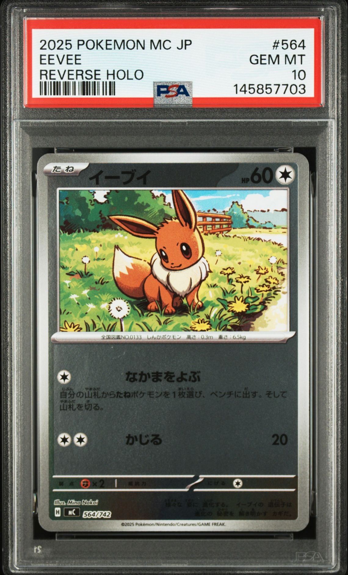 お茶会ごっこピカチュウ: プロモ[SM-P 325](プロモーションカード「SM