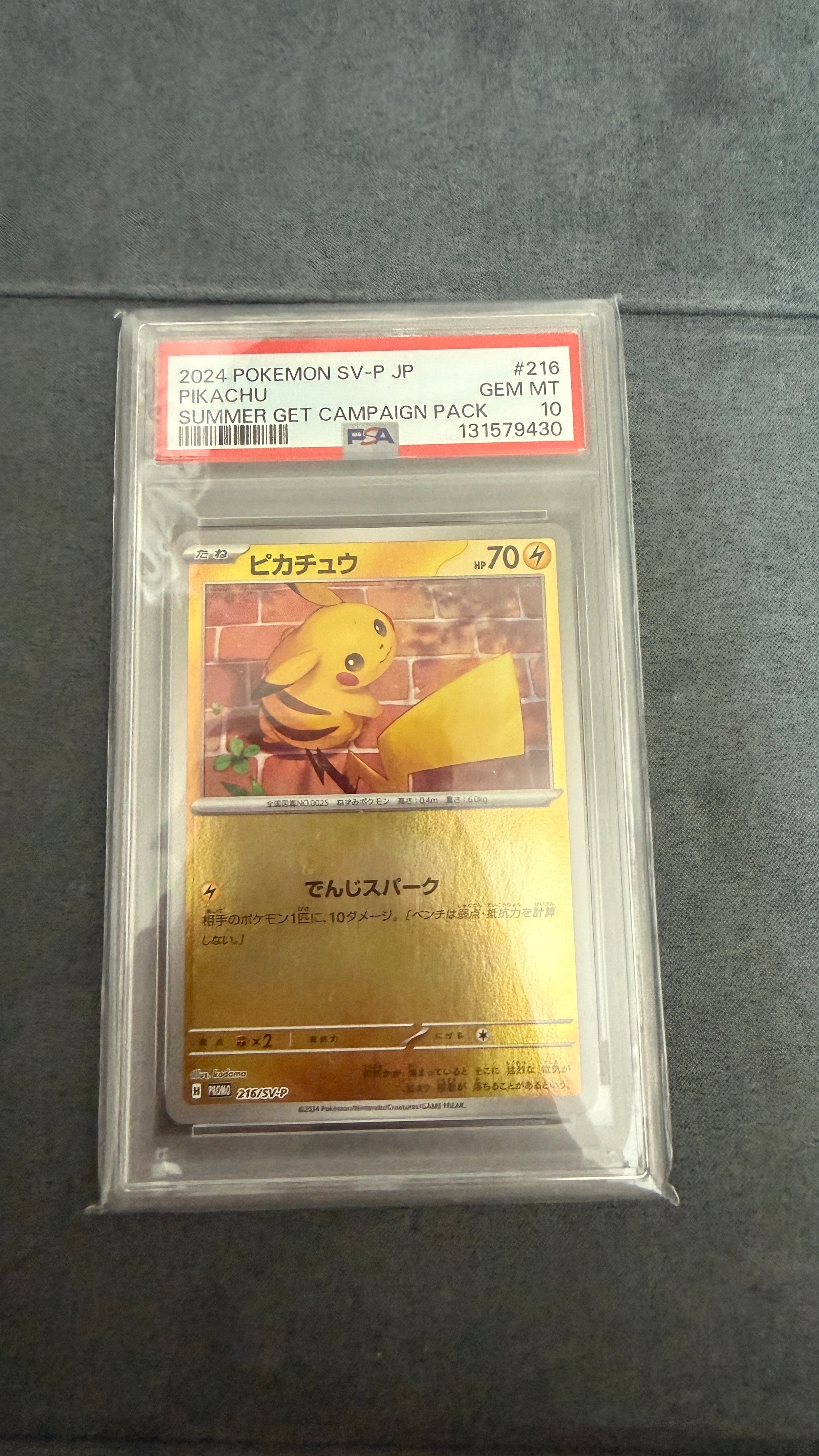 ピカチュウ P [SV-P 216](プロモカードパック「ポケカの夏がキタ!プロモカードGetキャンペーン!」)