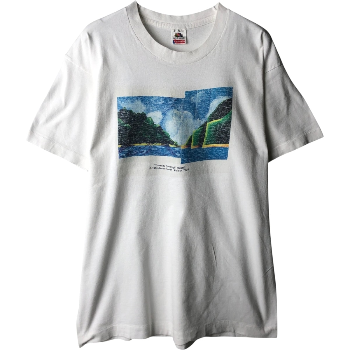 古着 90年代 フルーツオブザルーム FRUIT OF THE LOOM アートTシャツ USA製 メンズL相当 ヴィンテージ/eaa638815