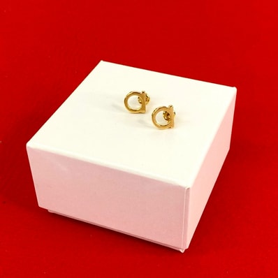 Salvatore Ferragamo サルヴァトーレフェラガモ ガンチーニ モチーフ GP ピアス ゴールド
73830