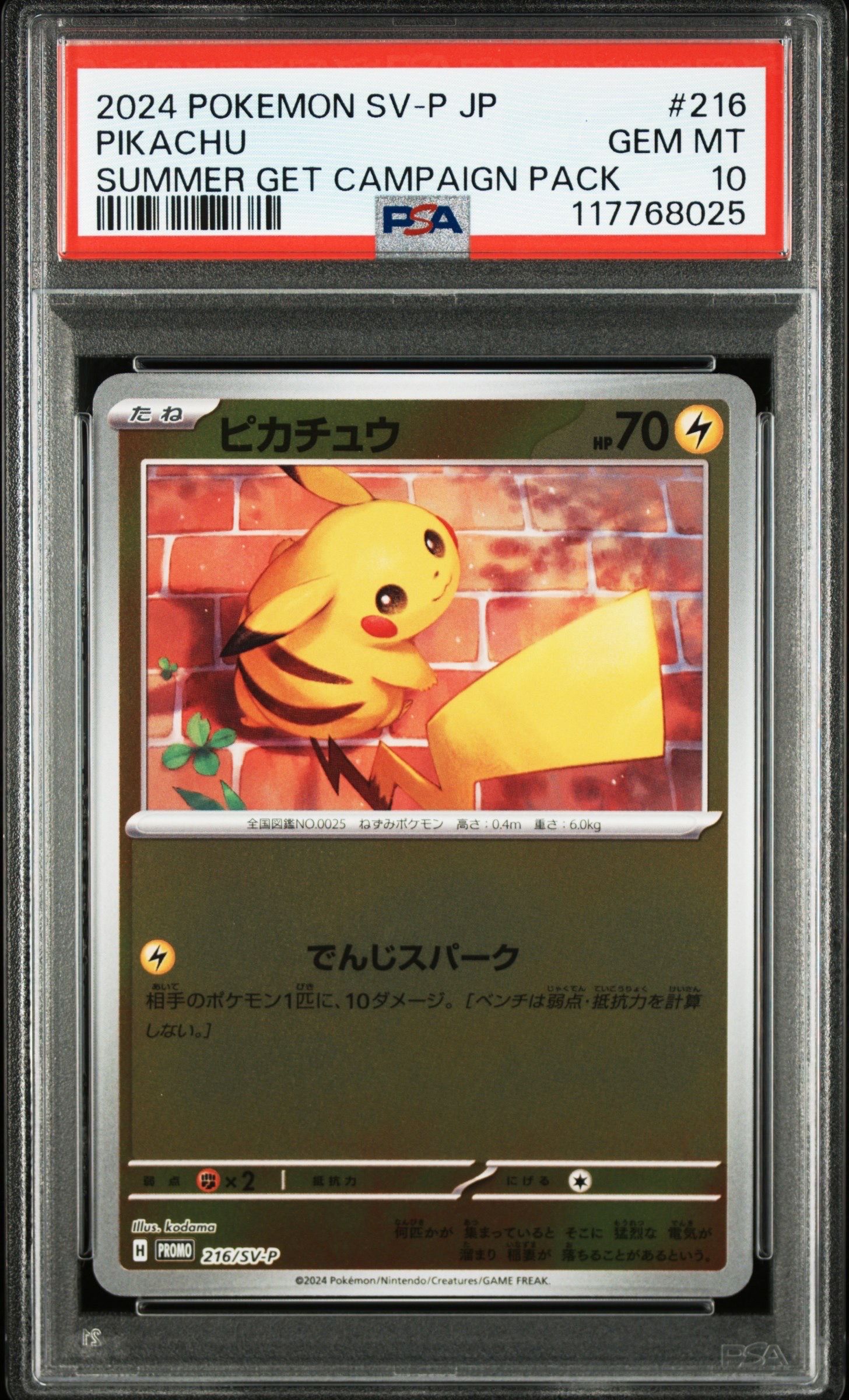 ピカチュウ P [SV-P 216](プロモカードパック「ポケカの夏がキタ!プロモカードGetキャンペーン!」)