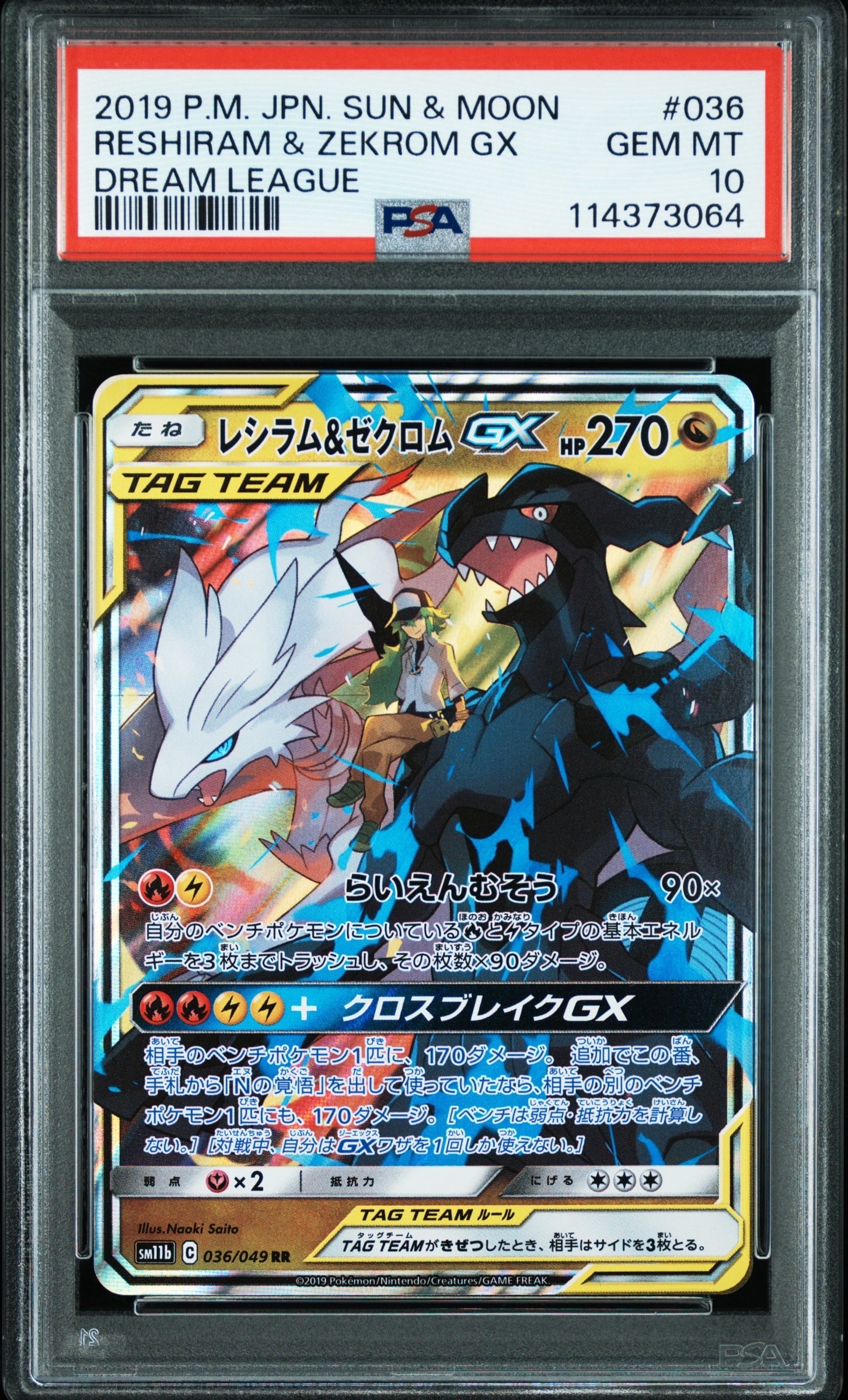 レシラム&ゼクロムGX (N) RR[SM11b 036/049](強化拡張パック「ドリームリーグ」)