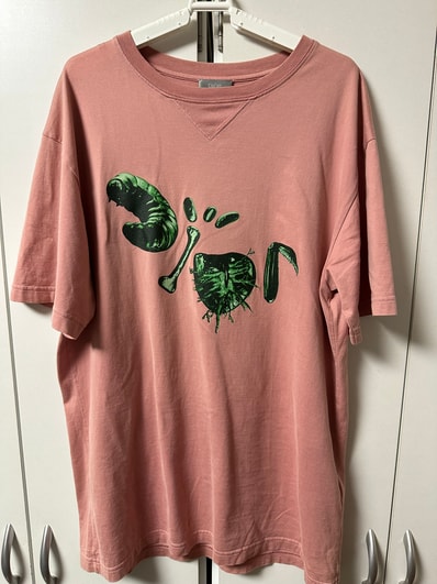 Dior x Cactus Jack Oversize T-Shirt "Pink"