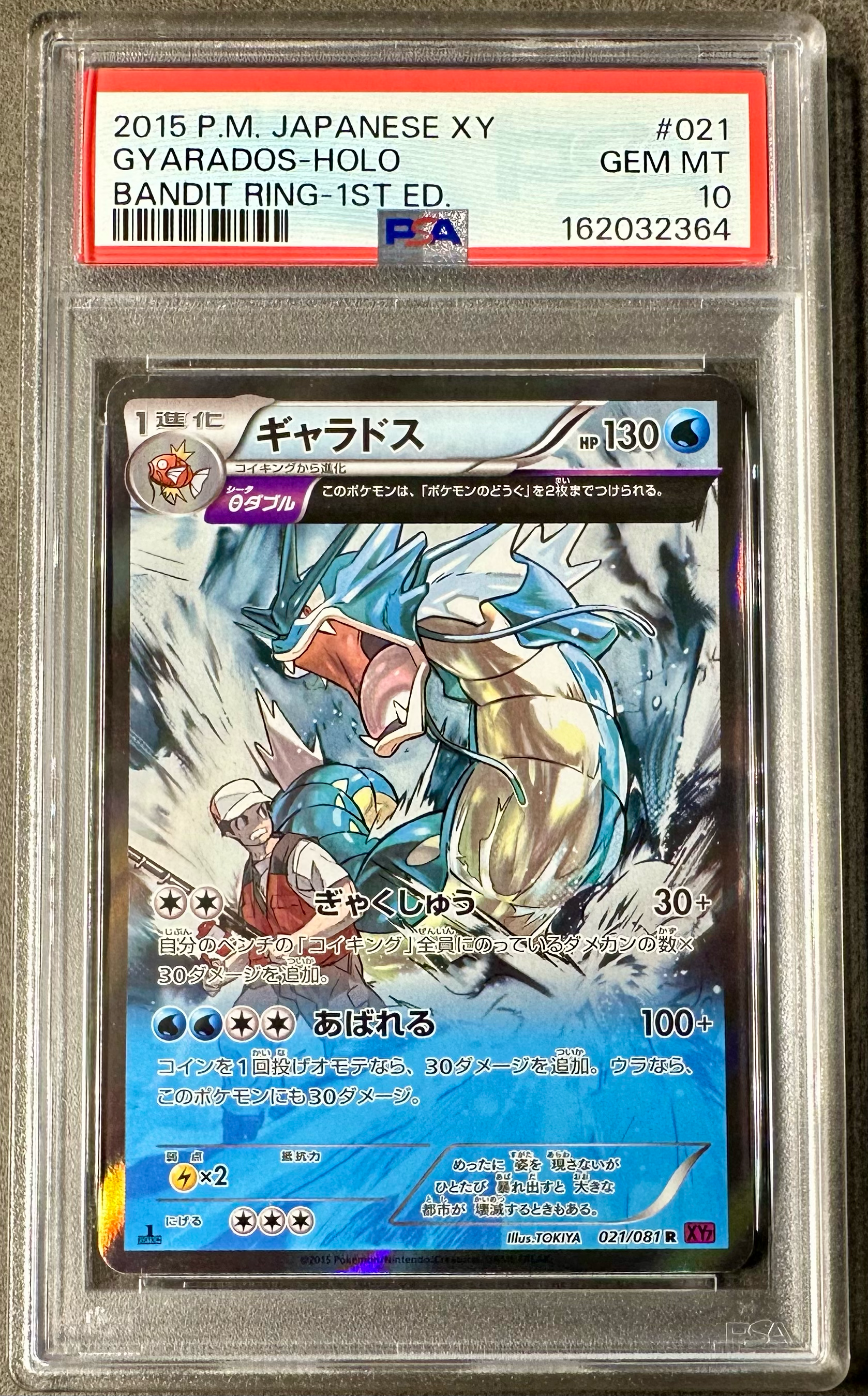 ギャラドス R [XY7 021/081](拡張パック「バンデットリング」)