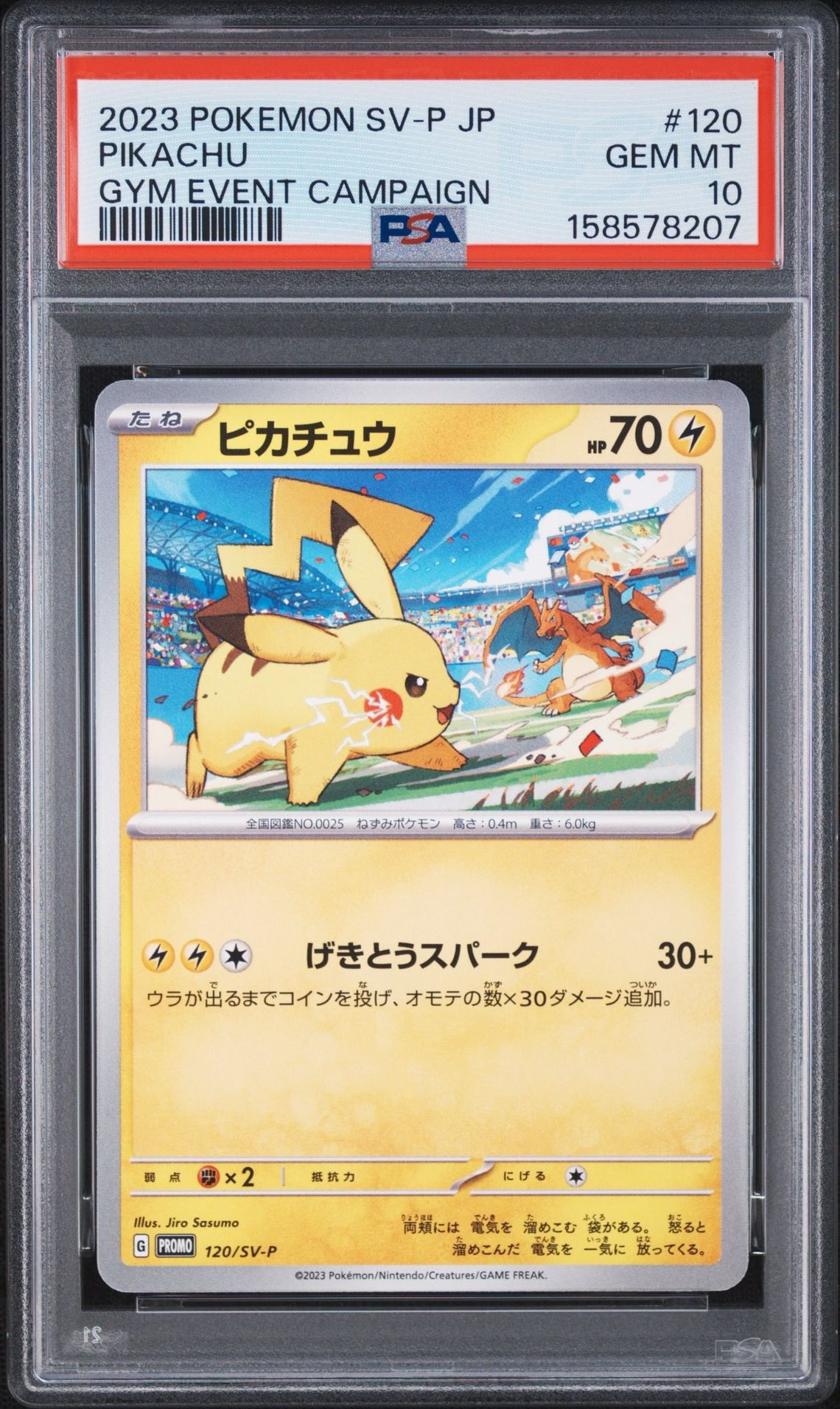 【PROMO】ピカチュウ PROMO SV-Pプロモカード 120/SV-P ピカチュウ: プロモ [SV-P 120](プロモーションカード「SV-P」)通販