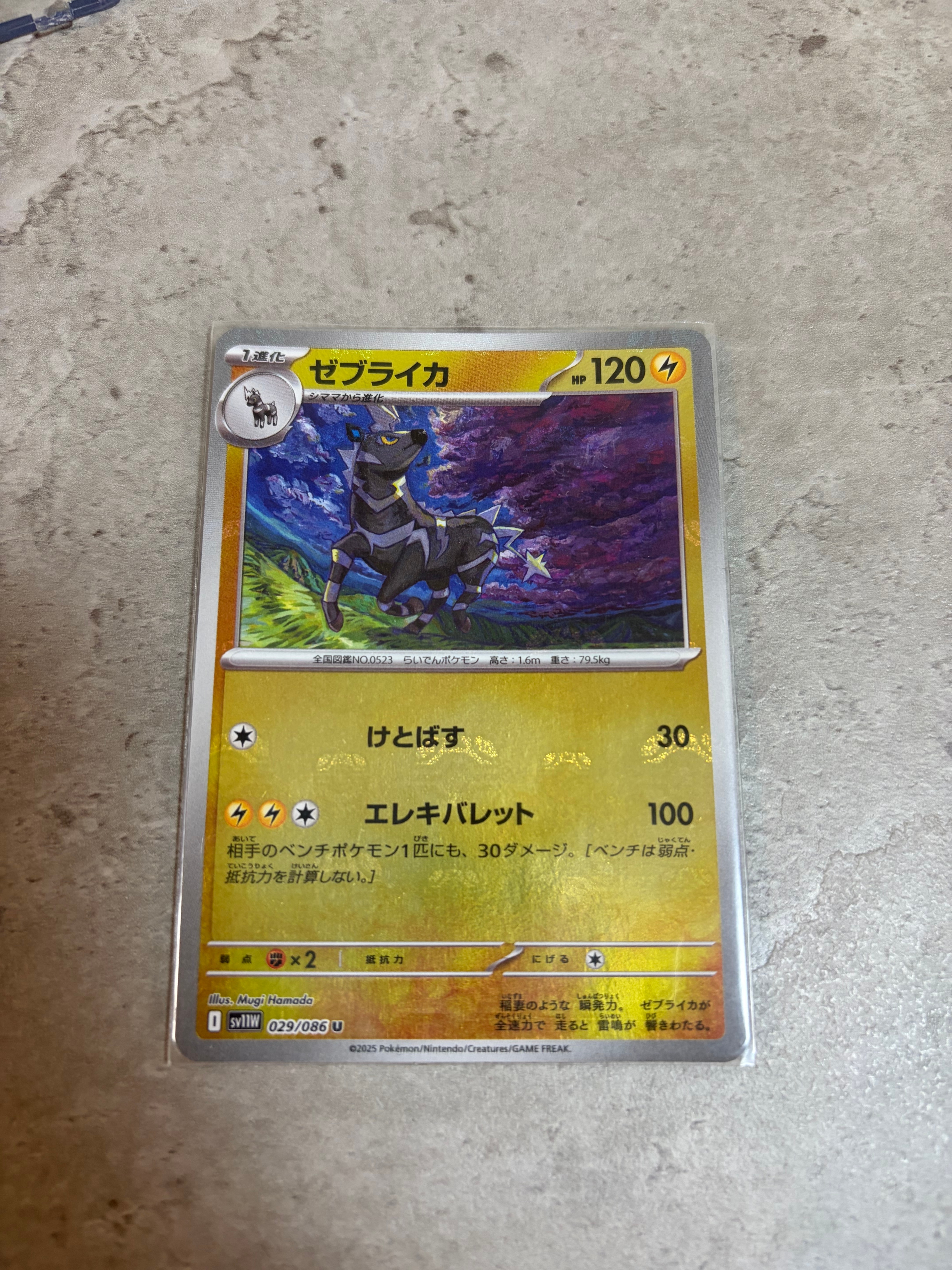 ゼブライカ U :マスターボールミラー [SV11W 029/086](拡張パック「ホワイトフレア」)