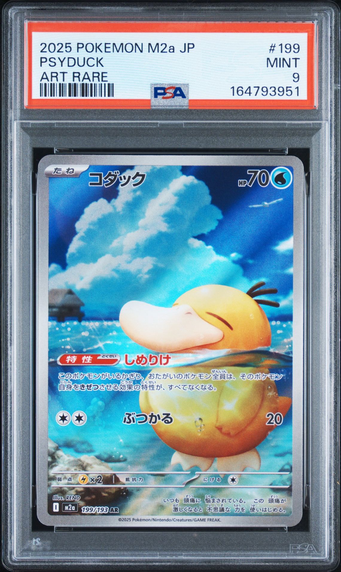 コダック AR [M2a 199/193](ハイクラスパック「MEGAドリームex」)