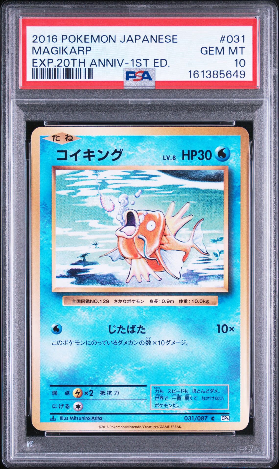 コイキング C :1ED [CP6 031/087](コンセプトパック「ポケットモンスターカードゲーム 拡張パック 20th Anniversary」)