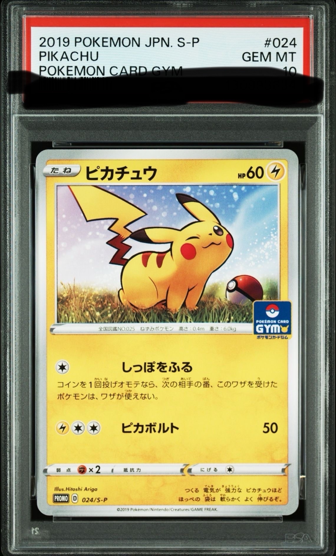 ピカチュウ: プロモ P [S-P 024](ポケモンカードゲーム ソード&シールド 「プロモカードパック 第1弾」)