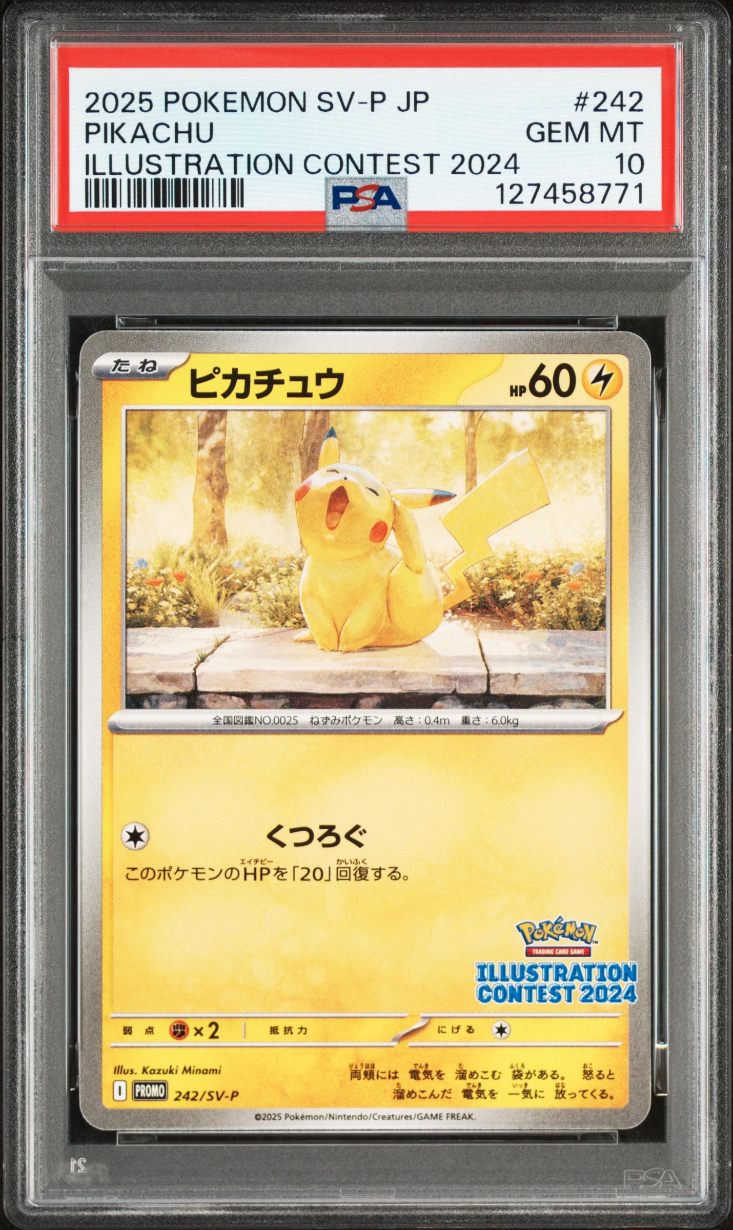 ピカチュウ [SV-P 242](プロモカードパック「イラストレーションコンテスト 2024 受賞作品プロモカード化記念キャンペーン」)