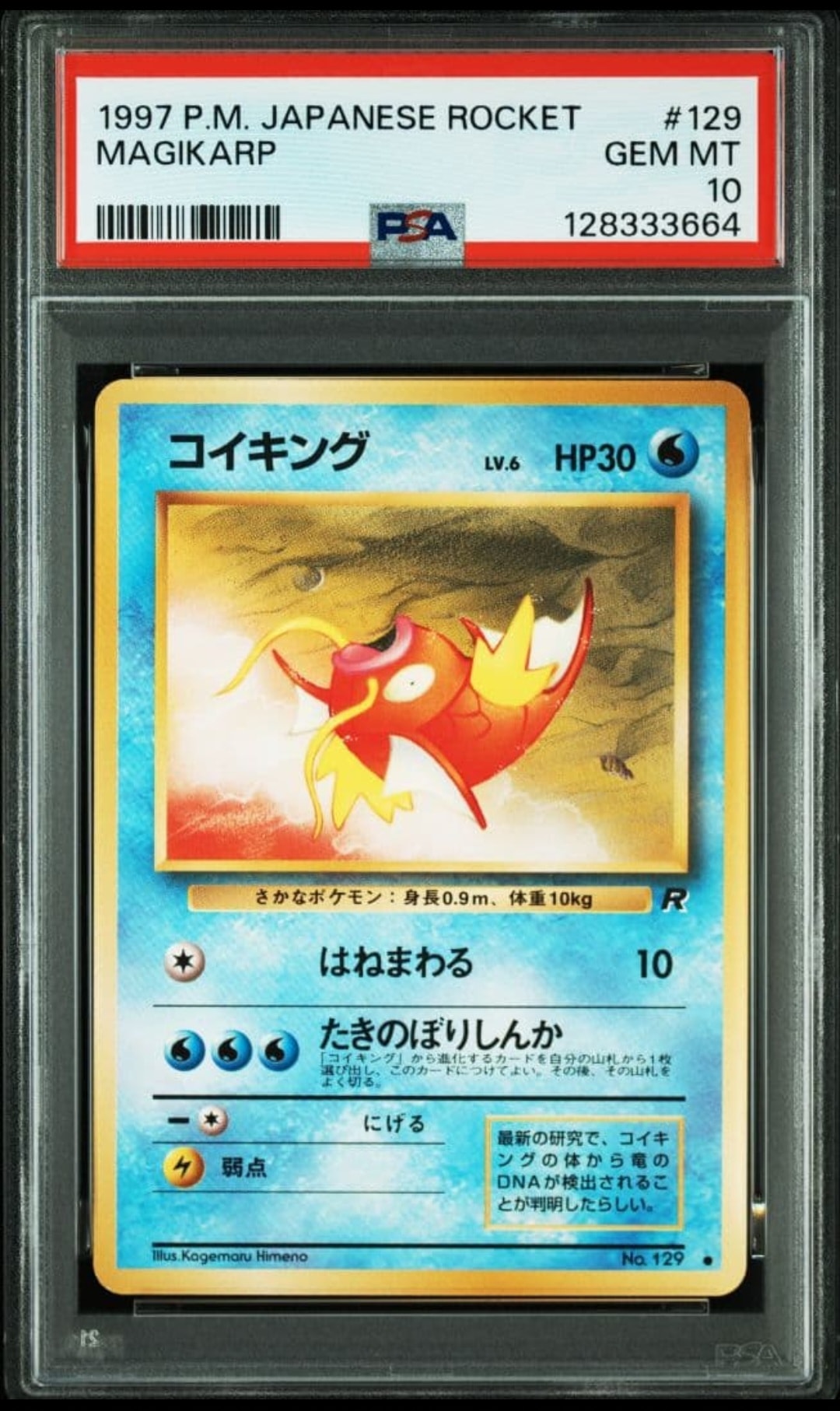 PSA10】コイキング ○ : 旧裏 [PMCG4 No.129](拡張パック「ロケット団