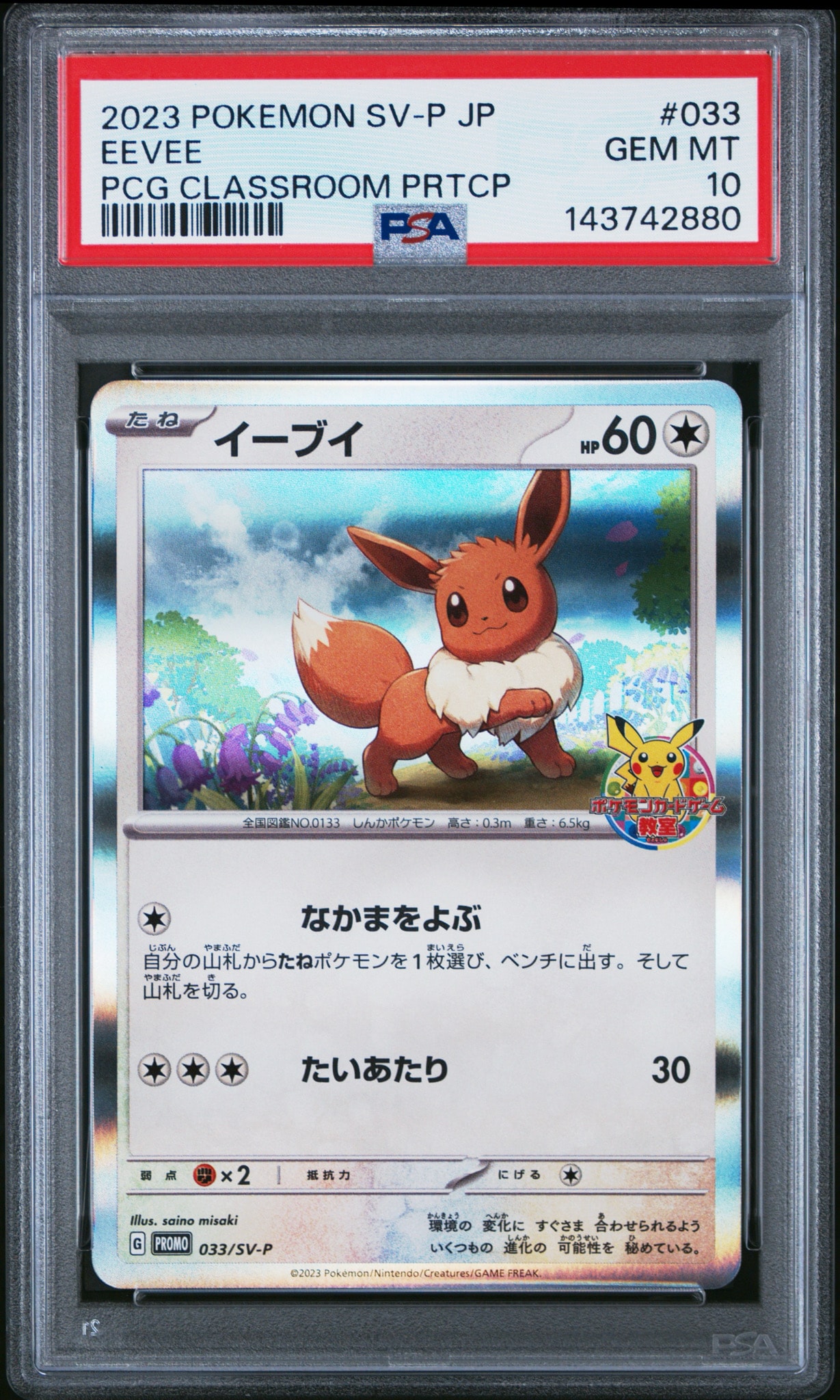 イーブイ: プロモ [SV-P 033](「 ポケモンカードゲーム教室」プロモーションカード「SV-P」)
