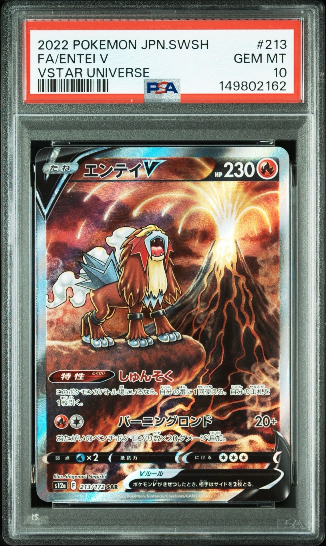 エンテイV SAR[s12a 213/172](ハイクラスパック「VSTARユニバース」)