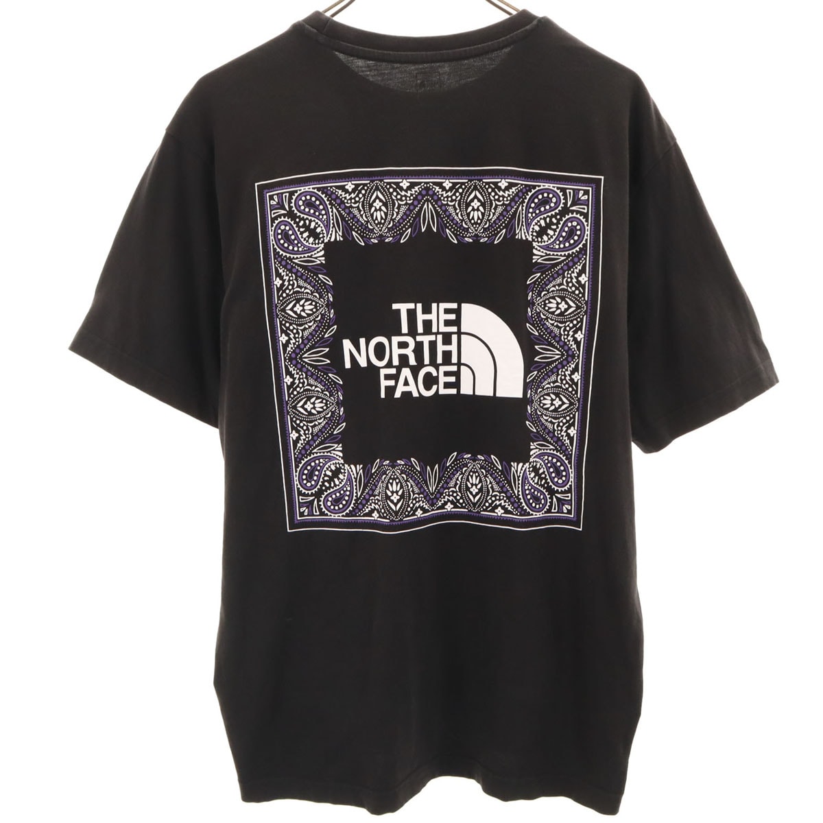 THE NORTH FACE ノースフェイス バックプリント 半袖 Tシャツ L ブラック NT7UN48A アウトドア