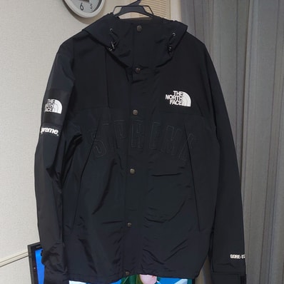 Supreme x The North Face Arc Logo Mountain Parka "Black" NP11901I / NF0A3VMM