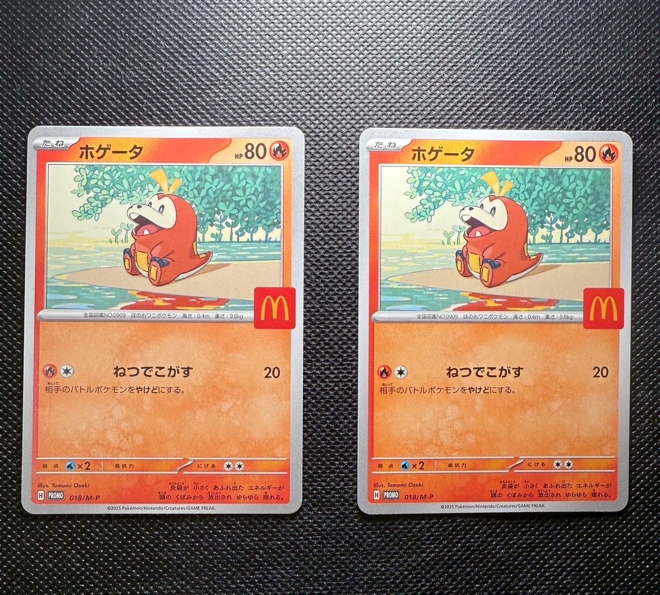 ホゲータ P [M-P 018](プロモカードパック「マクドナルド ハッピーセット2025」)