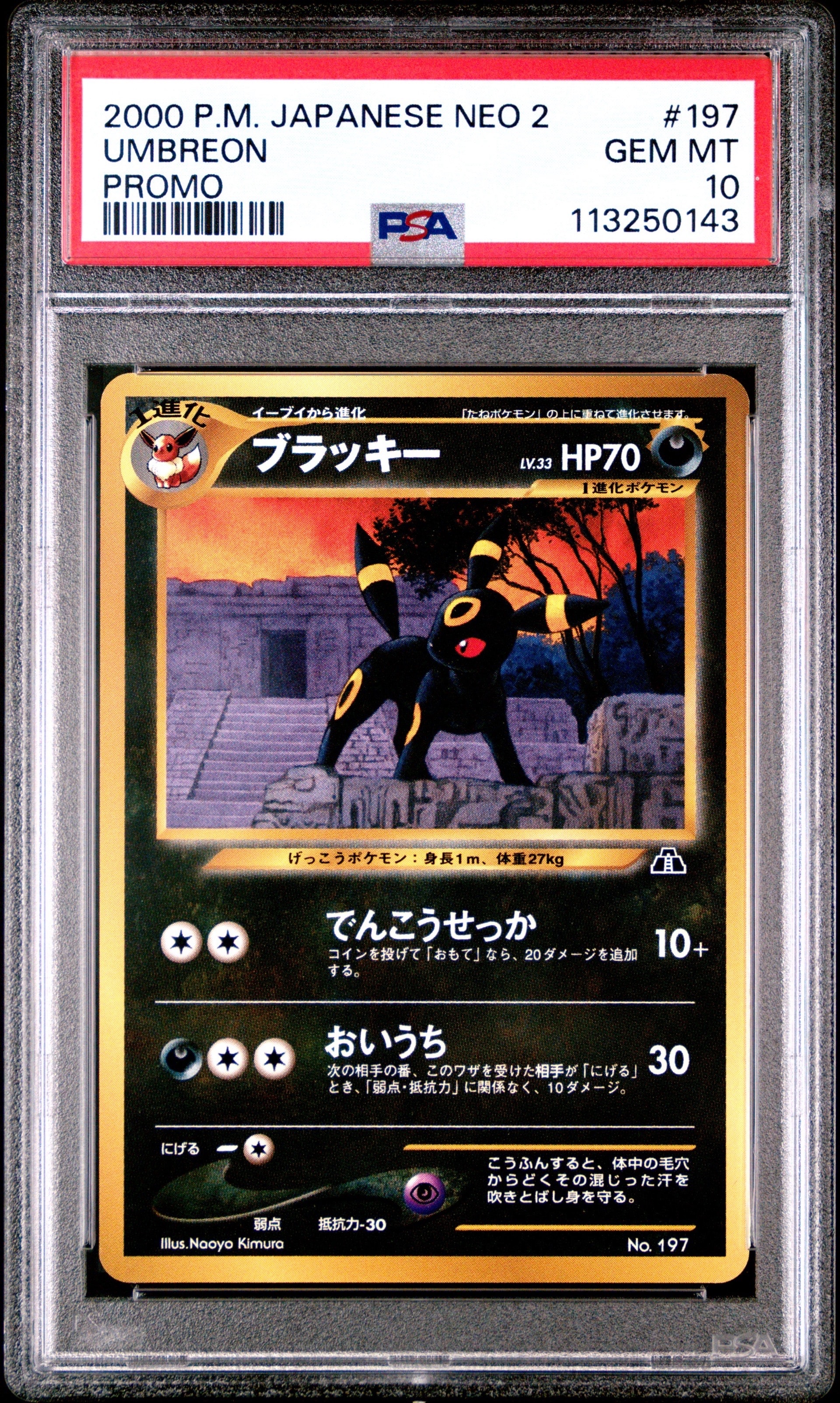 ブラッキープレミアムファイル2: 旧裏[neoP2 No.197](プレミアムファイル2)