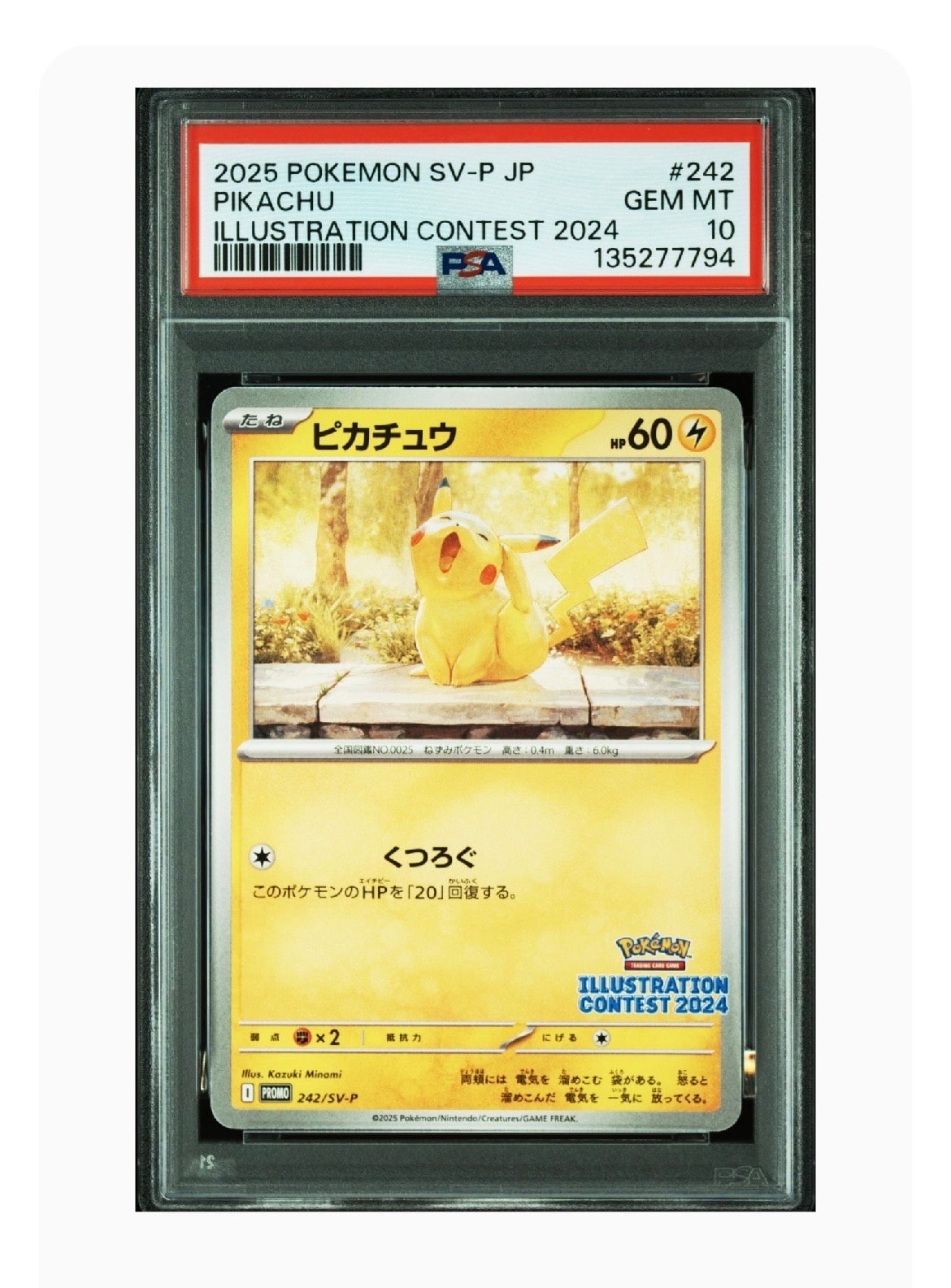 ピカチュウ [SV-P 242](プロモカードパック「イラストレーションコンテスト 2024 受賞作品プロモカード化記念キャンペーン」)