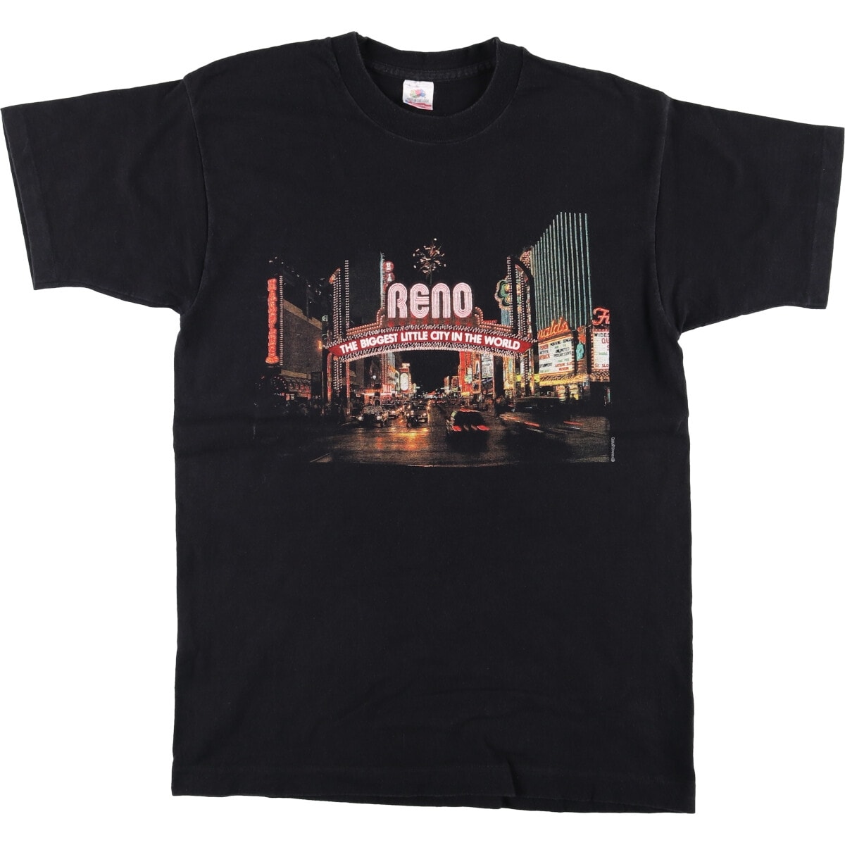 古着 90年代 フルーツオブザルーム FRUIT OF THE LOOM フォトTシャツ USA製 メンズL相当 ヴィンテージ/eaa585048