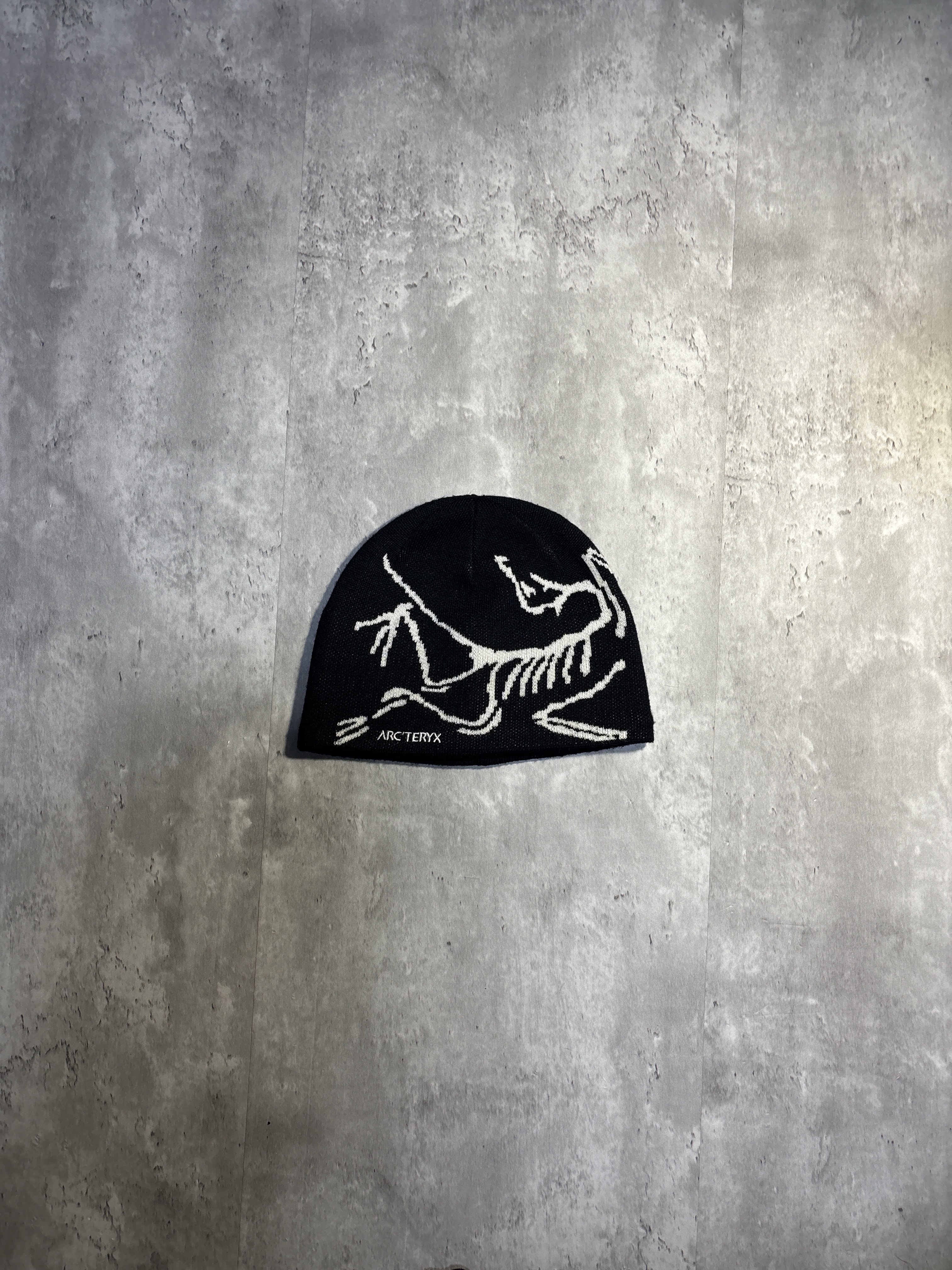 ARC'TERYX Bird Head Toque "Orca"