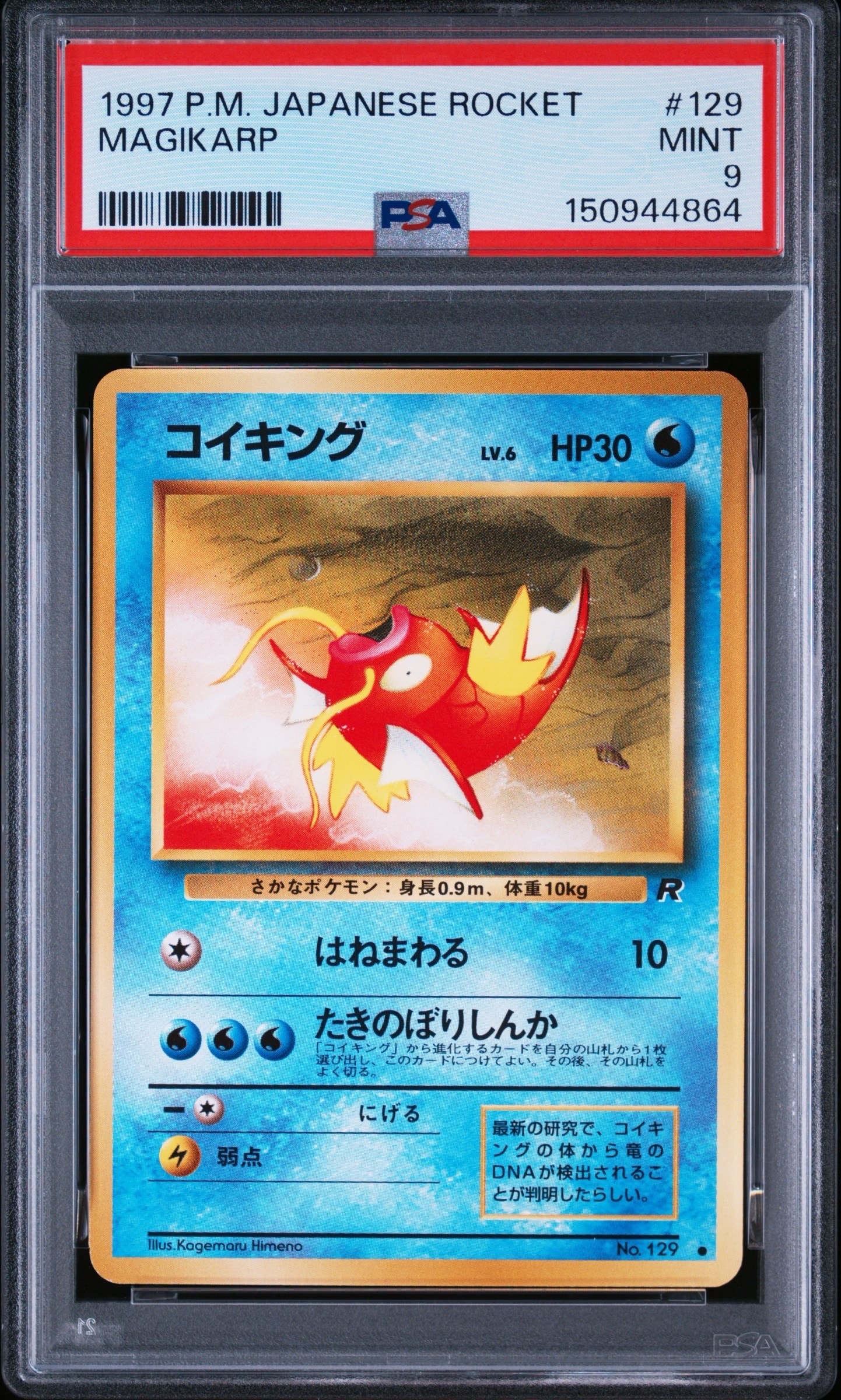 コイキング ● : 旧裏 [No.129](拡張パック「ロケット団」) PSA9】コイキング ○ : 旧裏 [PMCG4 No.129](拡張パック「ロケット団