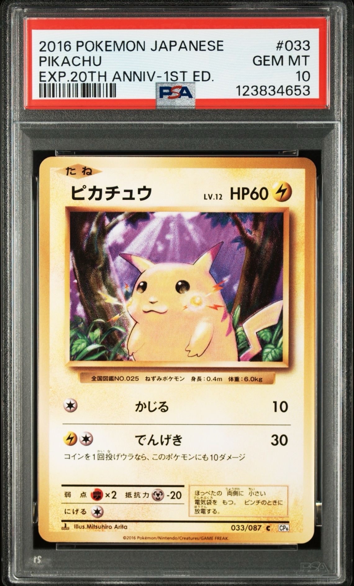 ピカチュウ C :1ED [CP6 033/087](コンセプトパック「ポケットモンスターカードゲーム 拡張パック 20th Anniversary」)