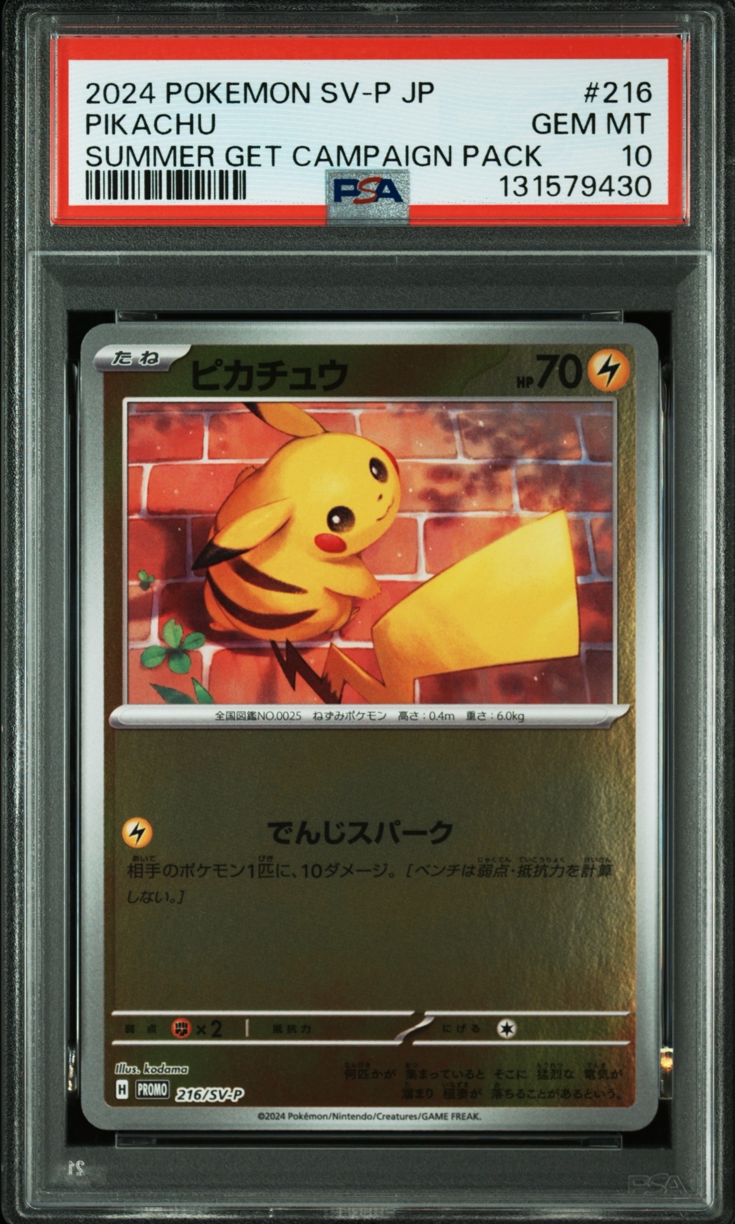 ピカチュウ P [SV-P 216](プロモカードパック「ポケカの夏がキタ!プロモカードGetキャンペーン!」)