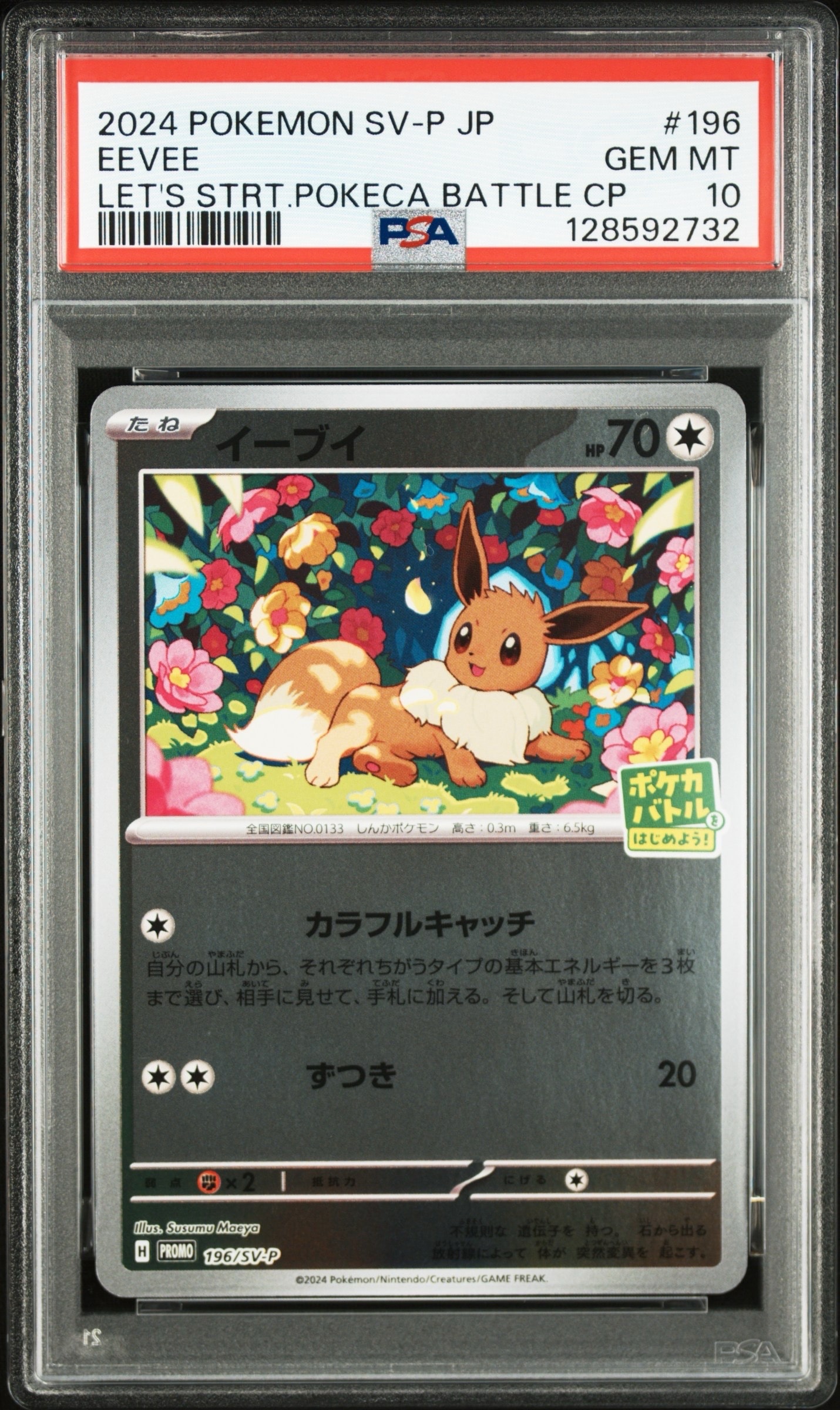イーブイ P [SV-P-SM 196](プロモカードパック「ポケカバトルをはじめよう!キャンペーン」)
