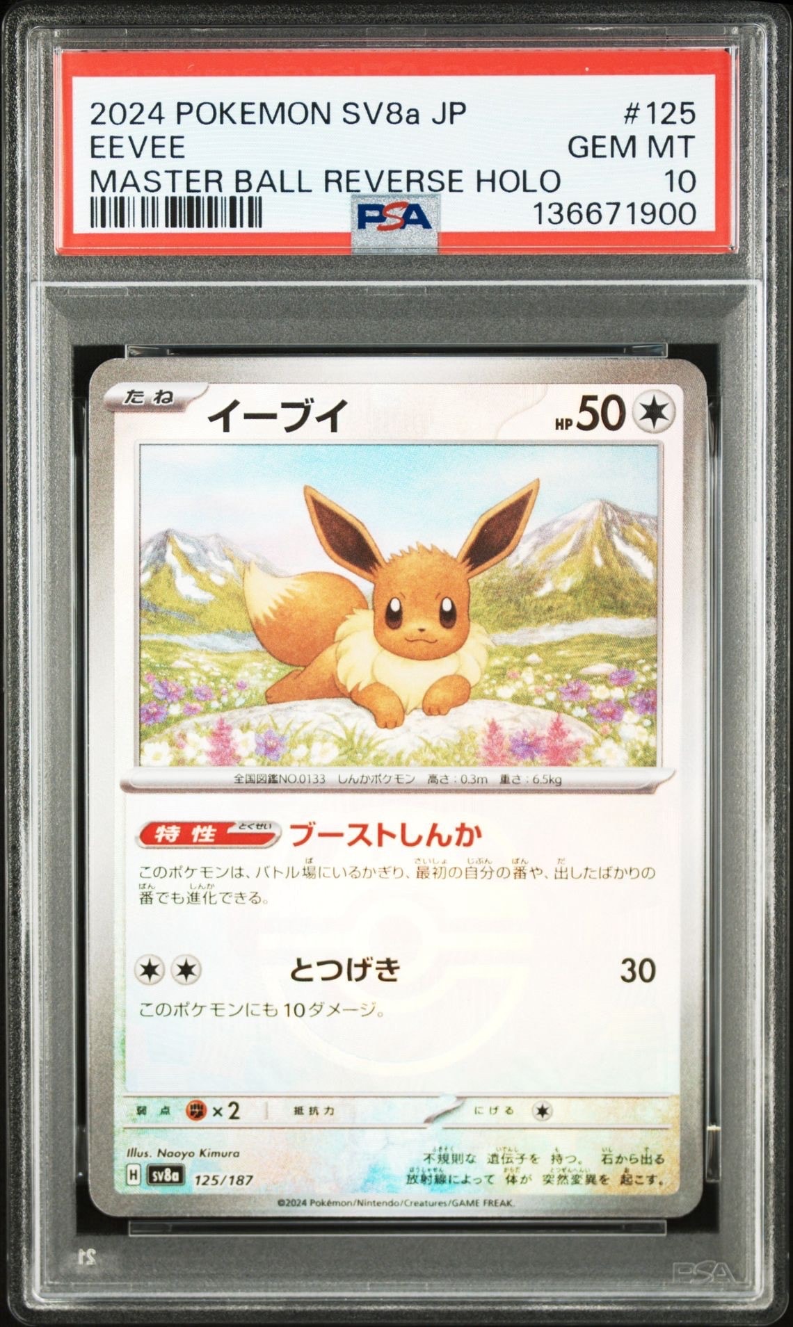 イーブイ :マスターボールミラー [SV8a 125/187](ハイクラスパック「テラスタルフェスex」)