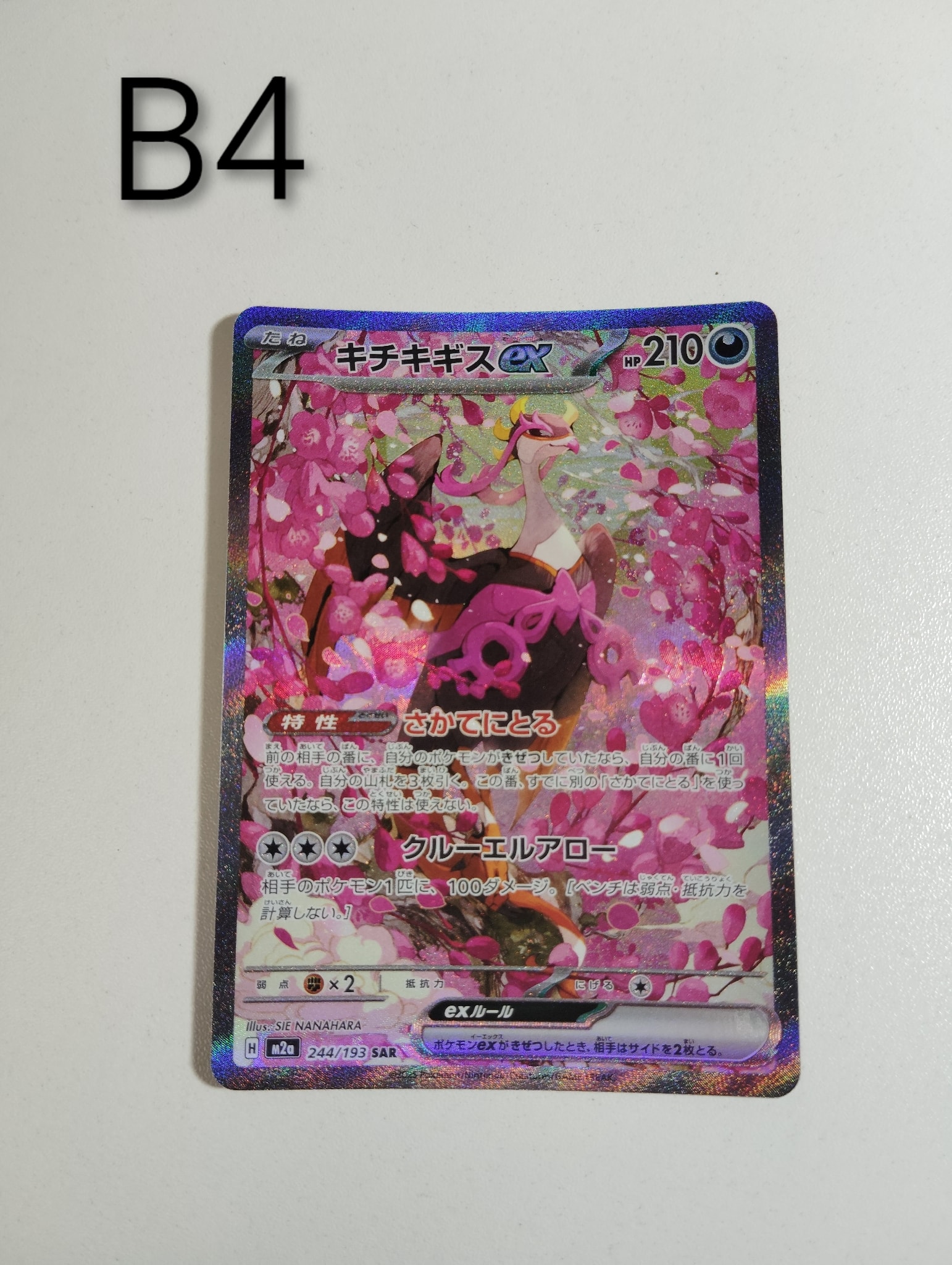 キチキギスex SAR [M2a 244/193](ハイクラスパック「MEGAドリームex