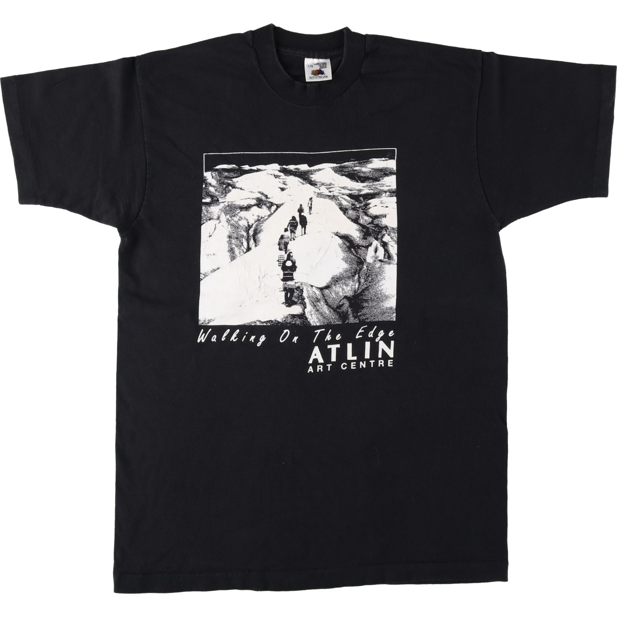 古着 90年代 フルーツオブザルーム FRUIT OF THE LOOM プリントTシャツ カナダ製 メンズL相当 ヴィンテージ/eaa646140