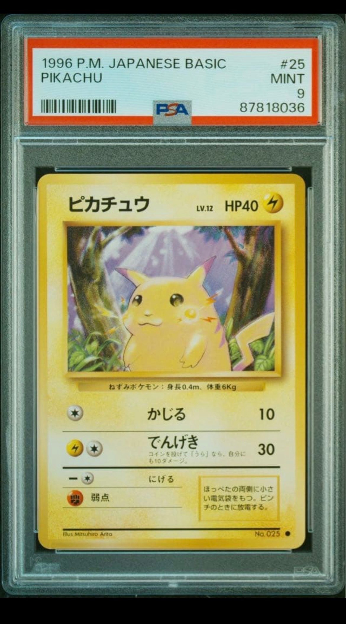 ピカチュウ ● : 旧裏 [PMCG1-2](拡張パック「ポケットモンスター カードゲーム」再販)