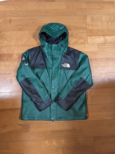 Supreme x The North Face Leather Mountain Parka "Green"