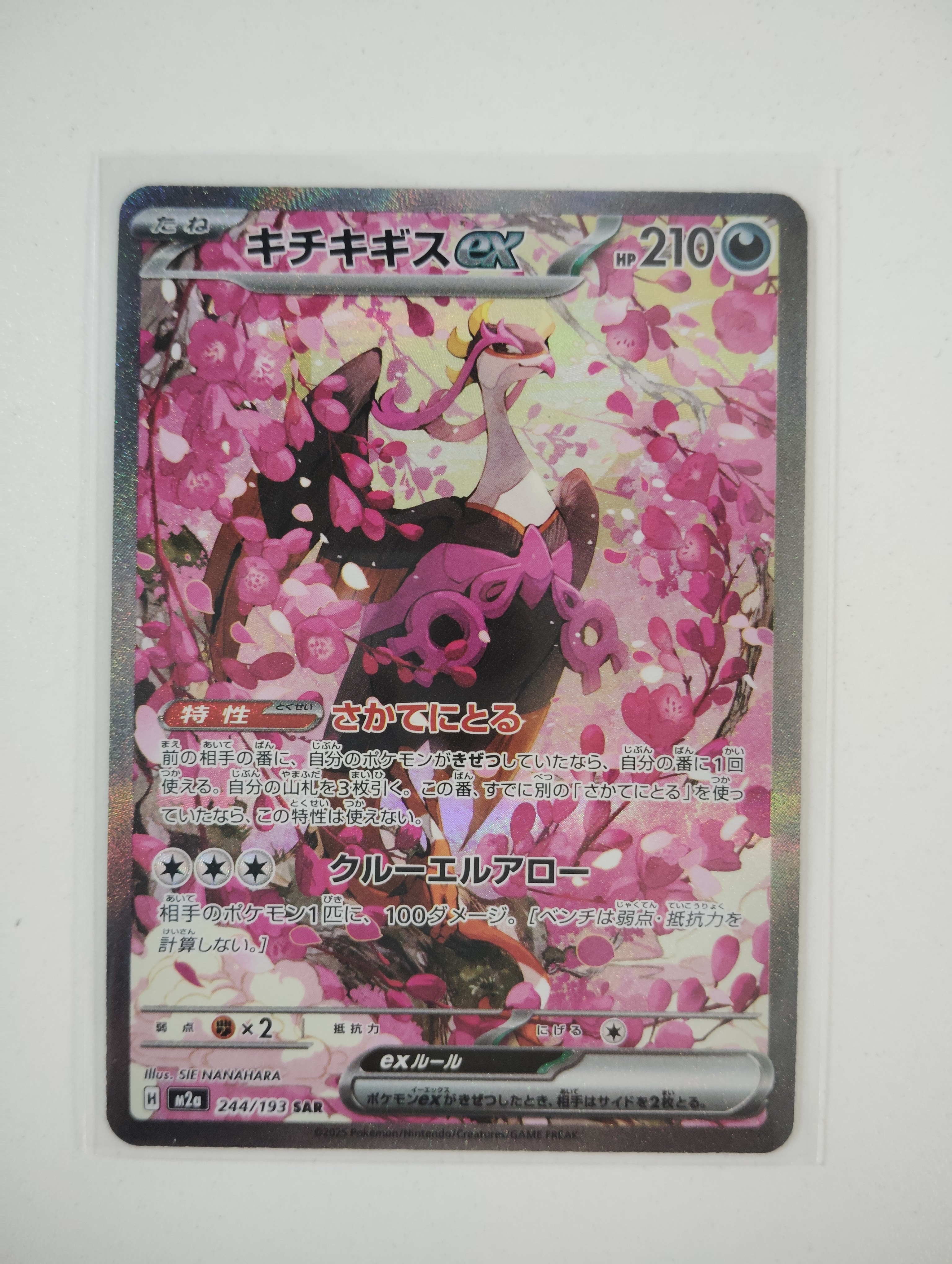【psa10】キチキギスex sar 244/193 即購入◯ キチキギスex SAR 244/193 M2a : ヒキツヨトレカ Yahoo!店 - 通販