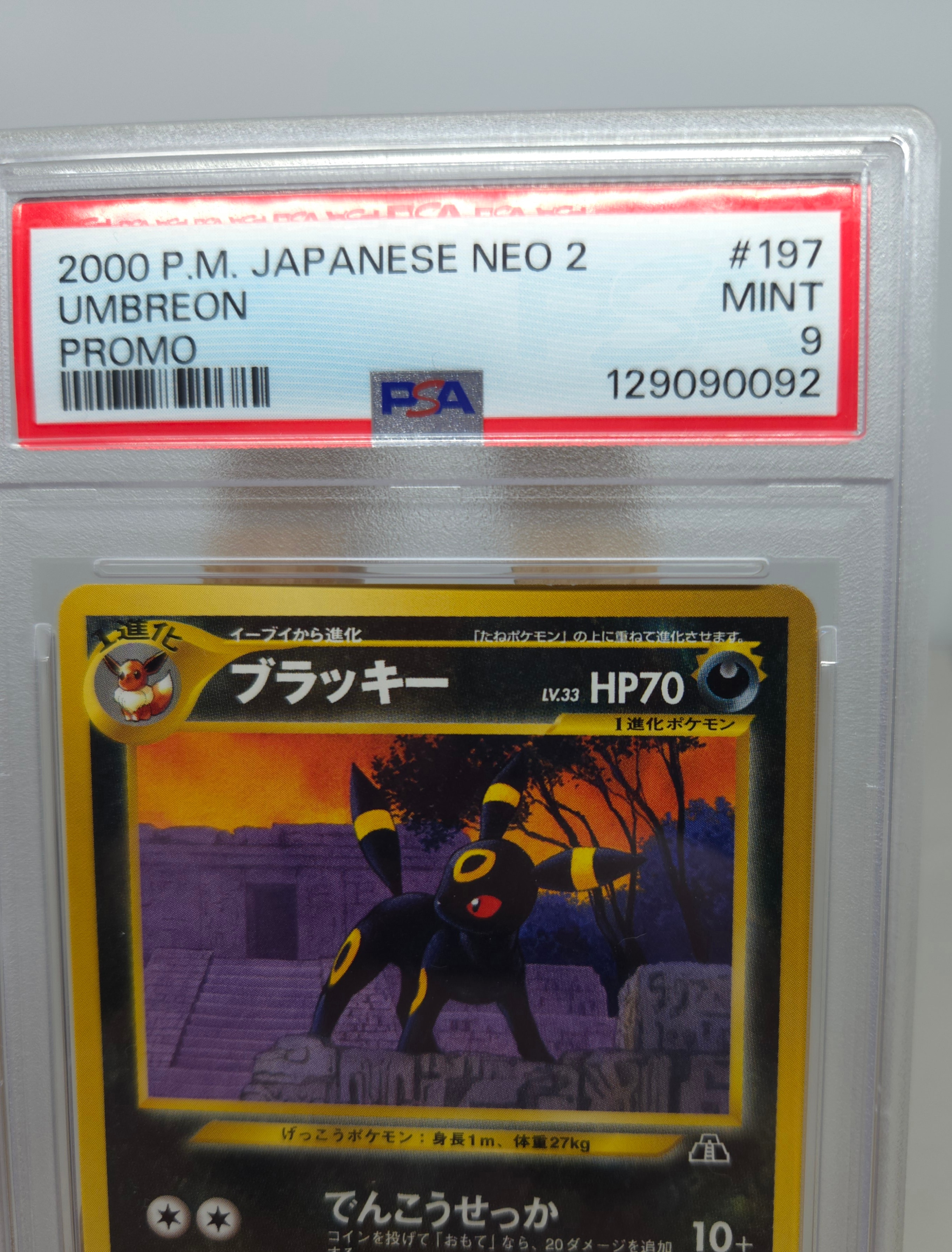 PSA9】ブラッキープレミアムファイル2: 旧裏[neoP2 No.197](プレミアム