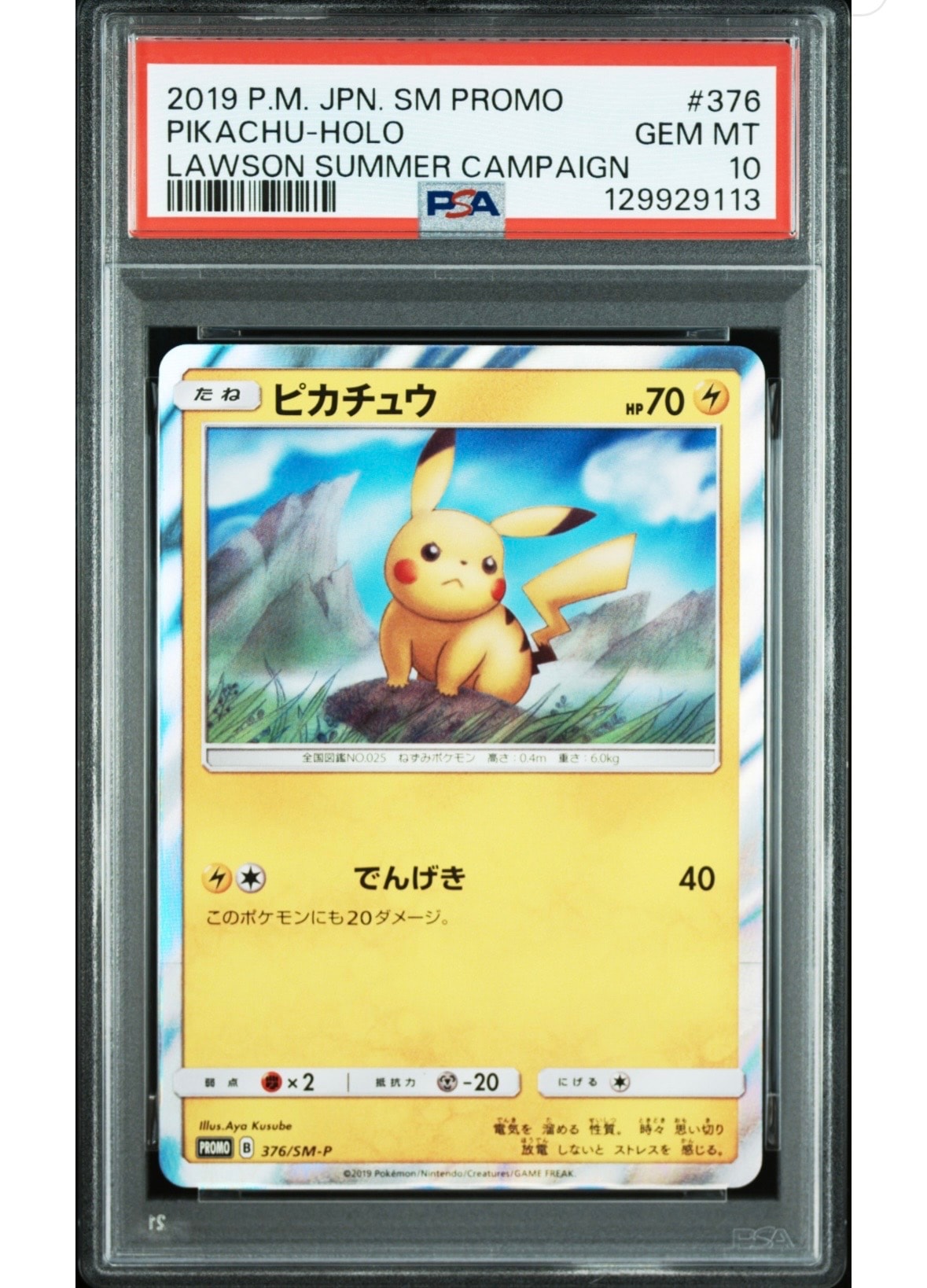 ピカチュウ: プロモ [SM-P 376](プロモーションカード「SM-P」)