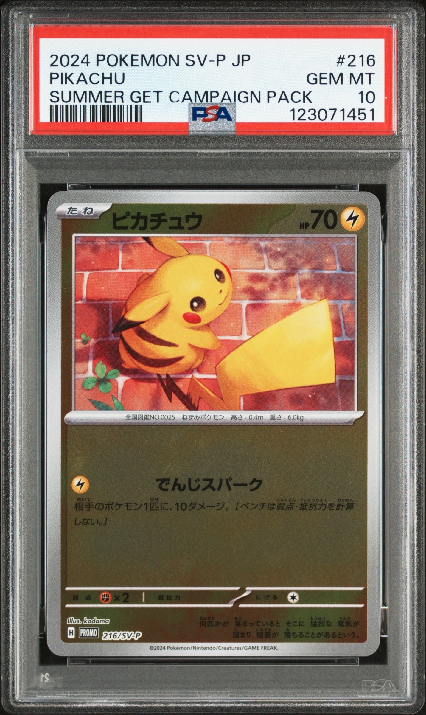 ピカチュウ P [SV-P 216](プロモカードパック「ポケカの夏がキタ!プロモカードGetキャンペーン!」)