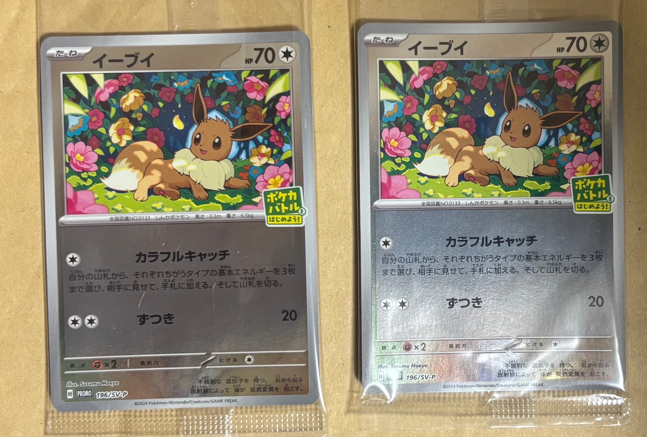 イーブイ P [SV-P-SM 196](プロモカードパック「ポケカバトルをはじめよう！キャンペーン」)