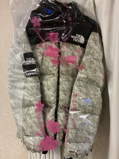 Supreme x The North Face Nuptse Jacket "White Paper Print"