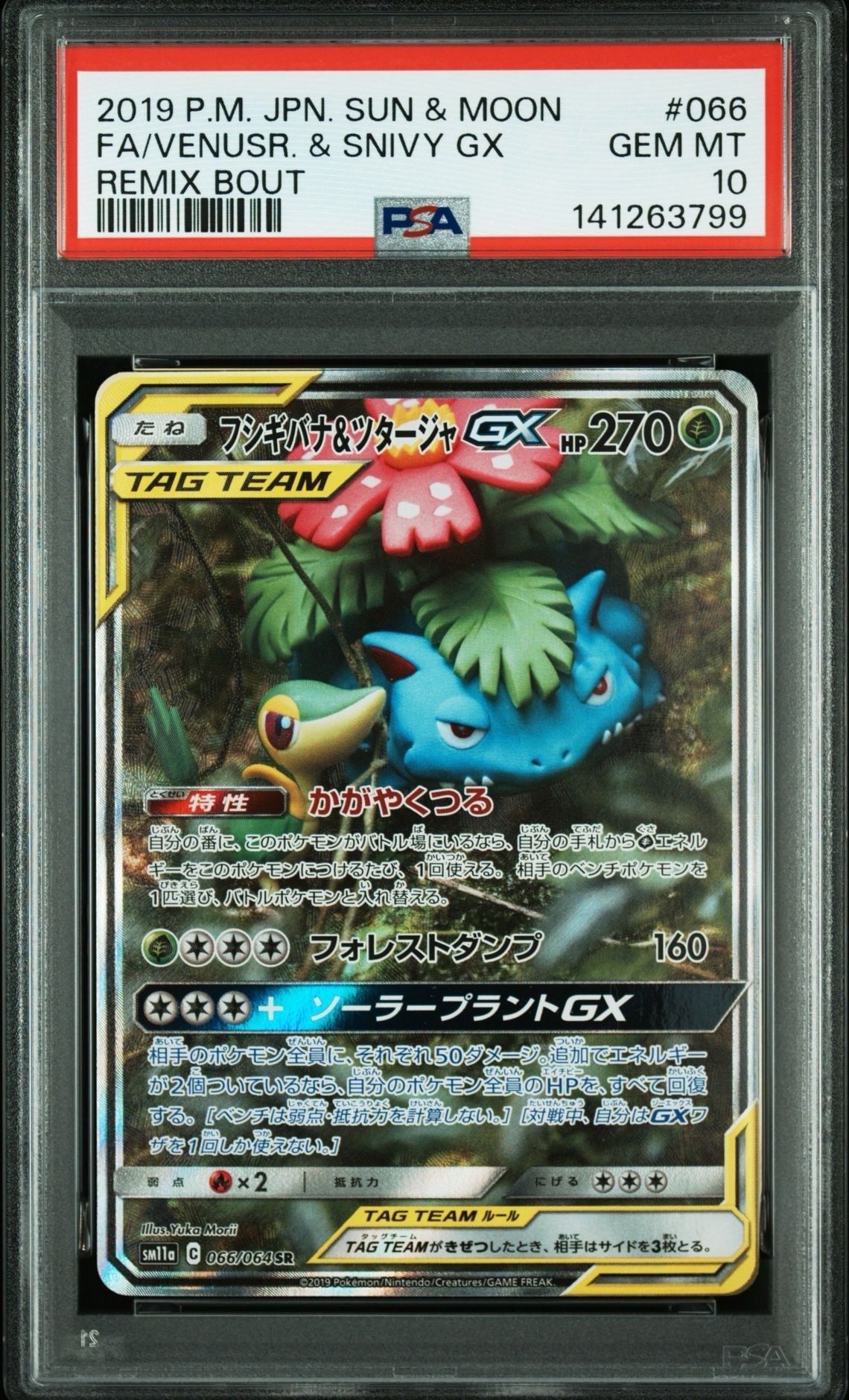 フシギバナ&ツタージャGX SR: SA[SM11a 066/064](強化拡張パック「リミックスバウト」)